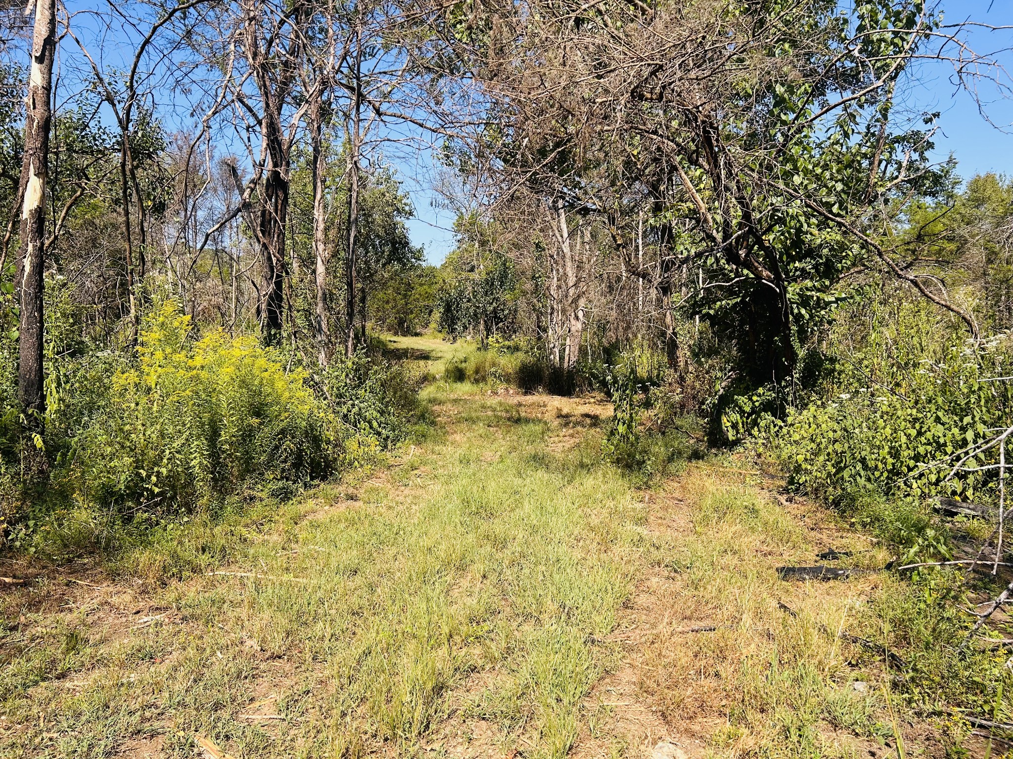 0 Bradyville Pike