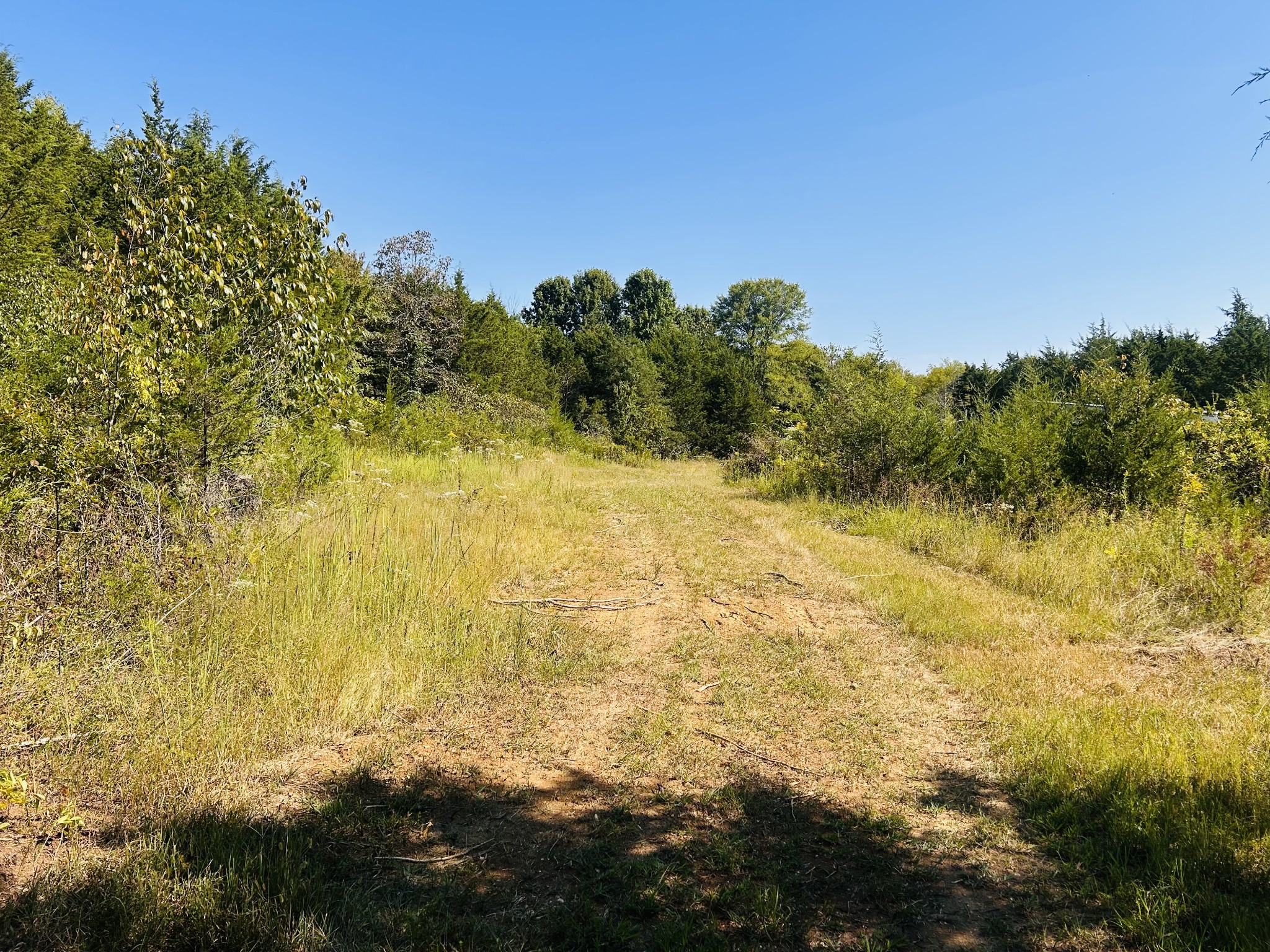 0 Bradyville Pike