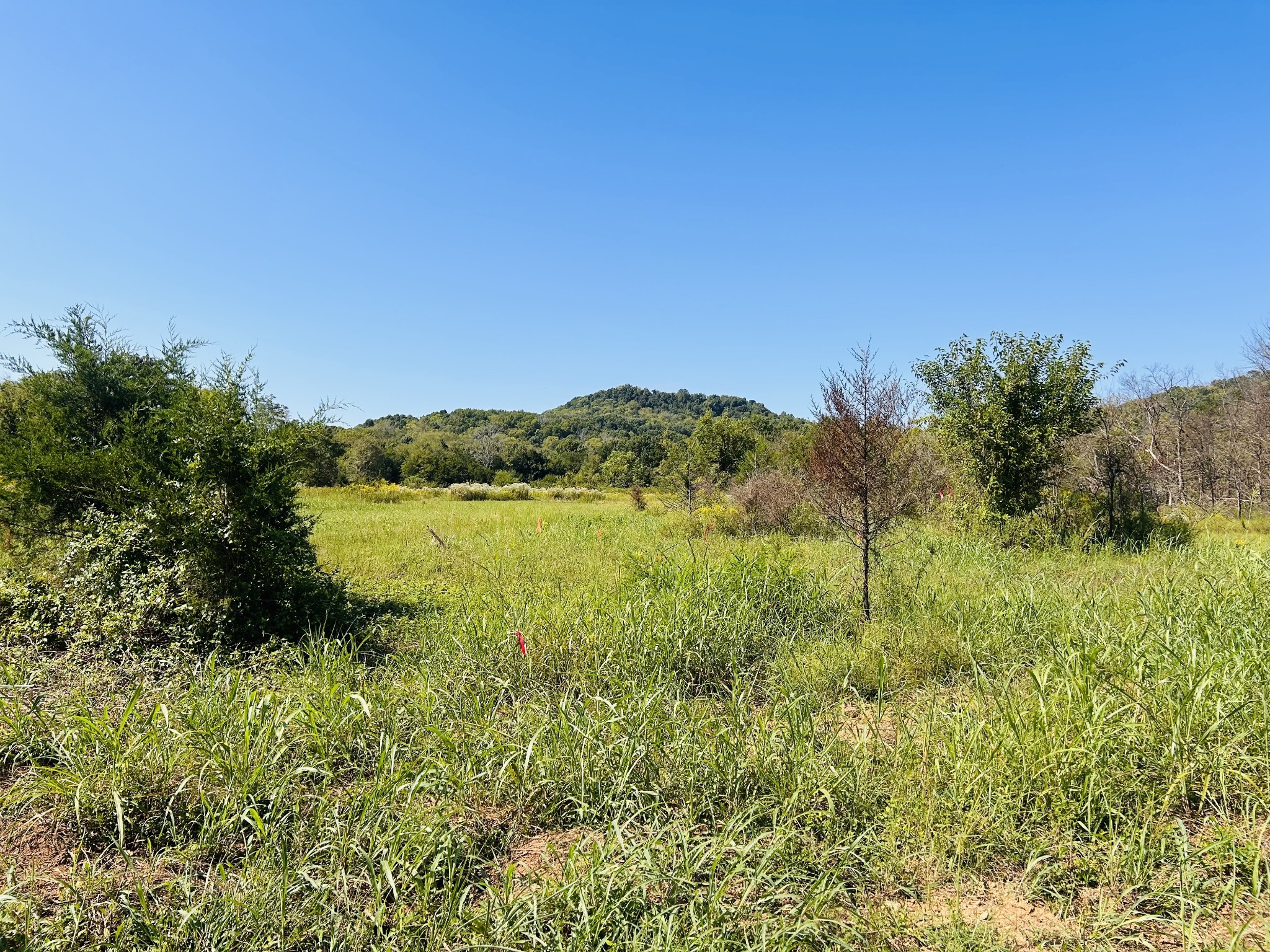 0 Bradyville Pike
