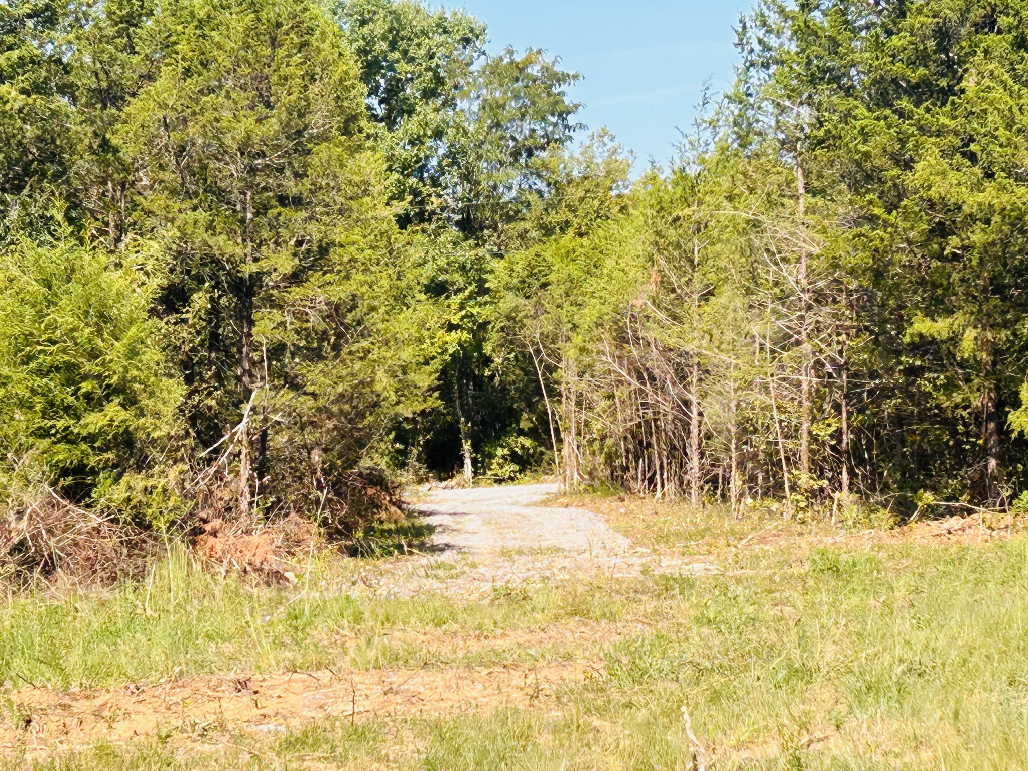 0 Bradyville Pike