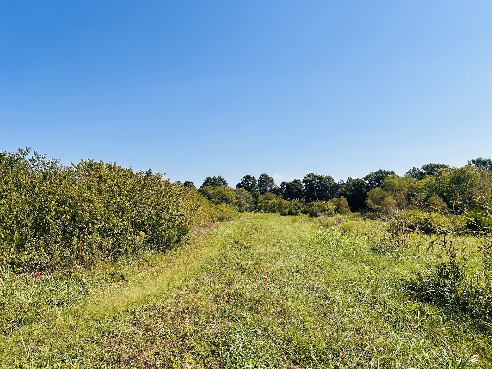 0 Bradyville Pike