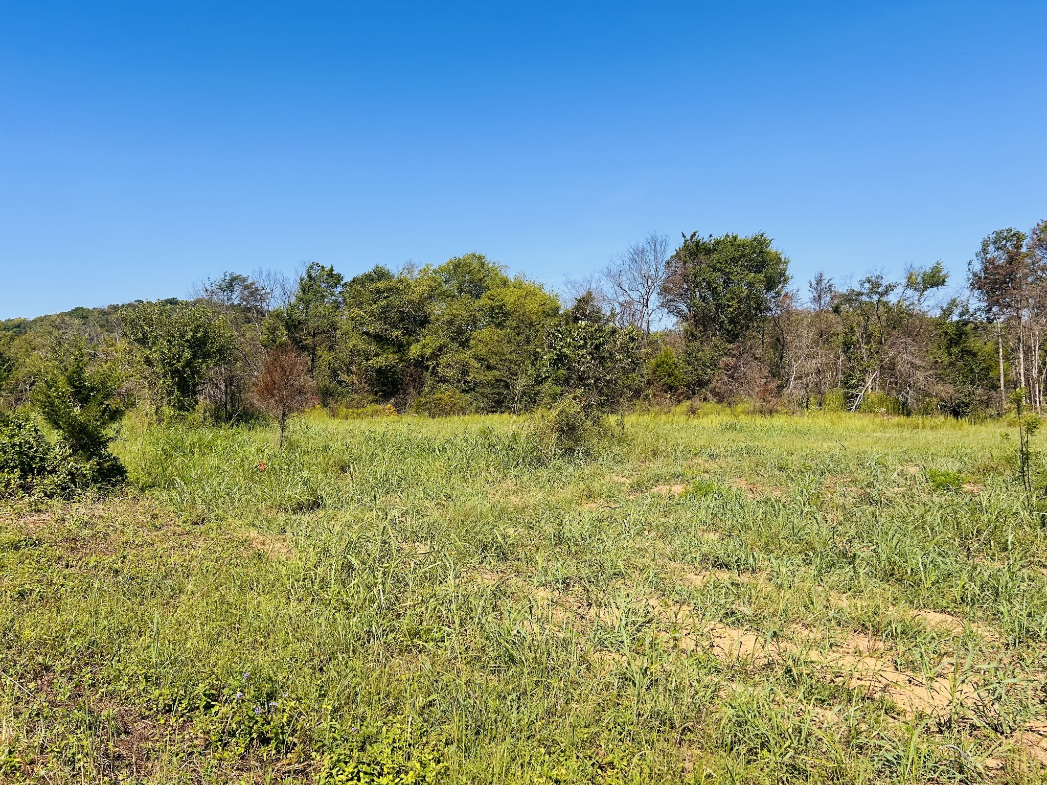 0 Bradyville Pike