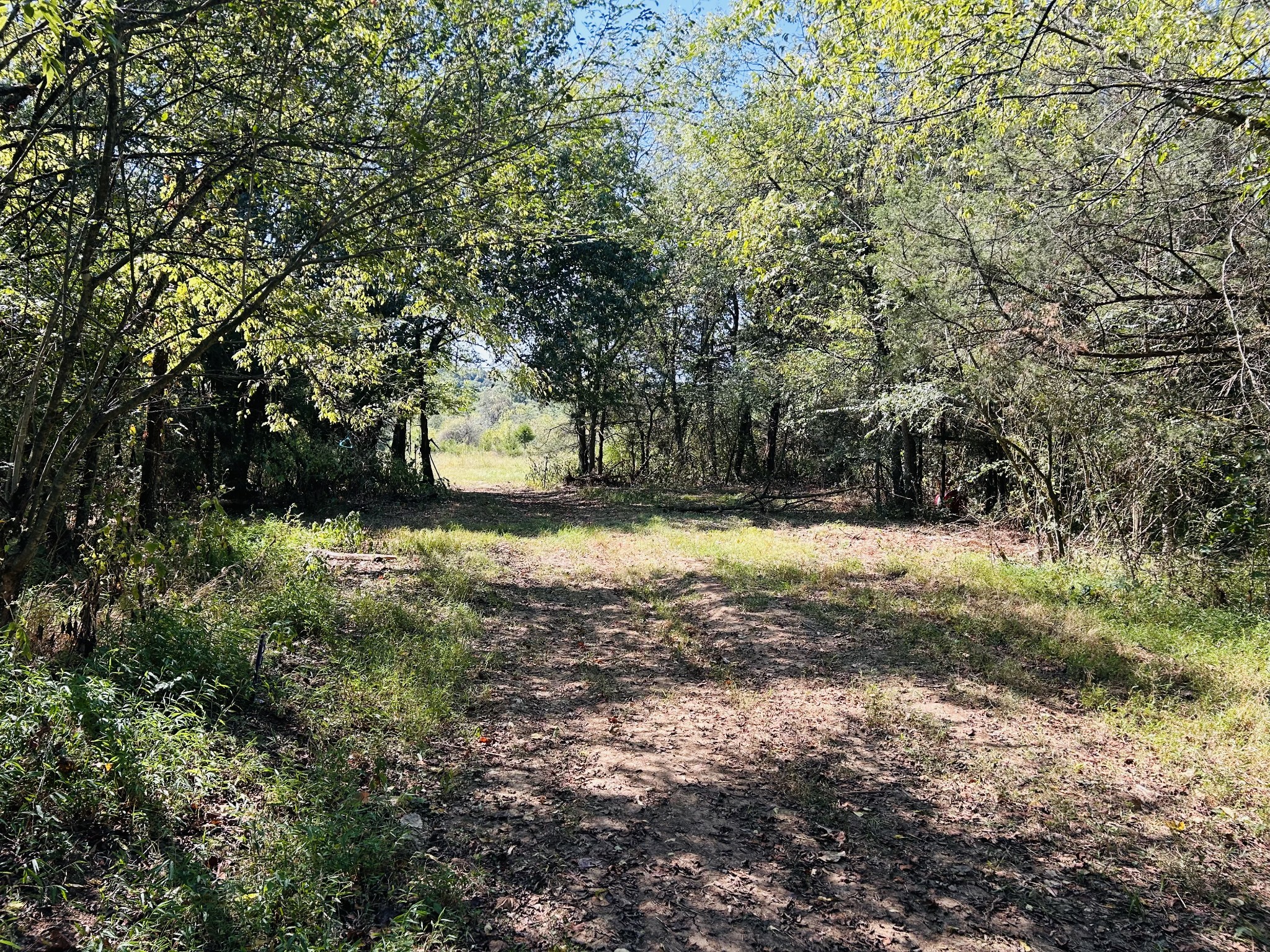 0 Bradyville Pike