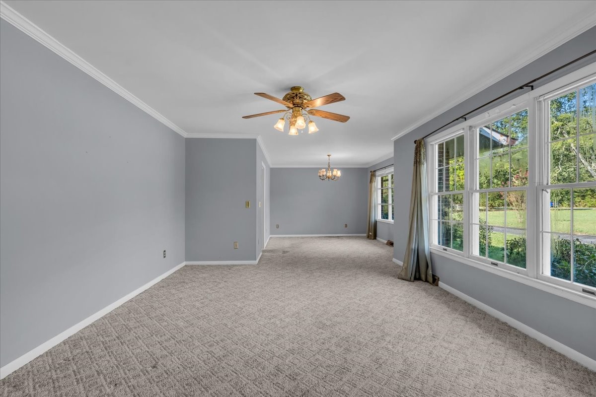 219 Cat Creek Rd