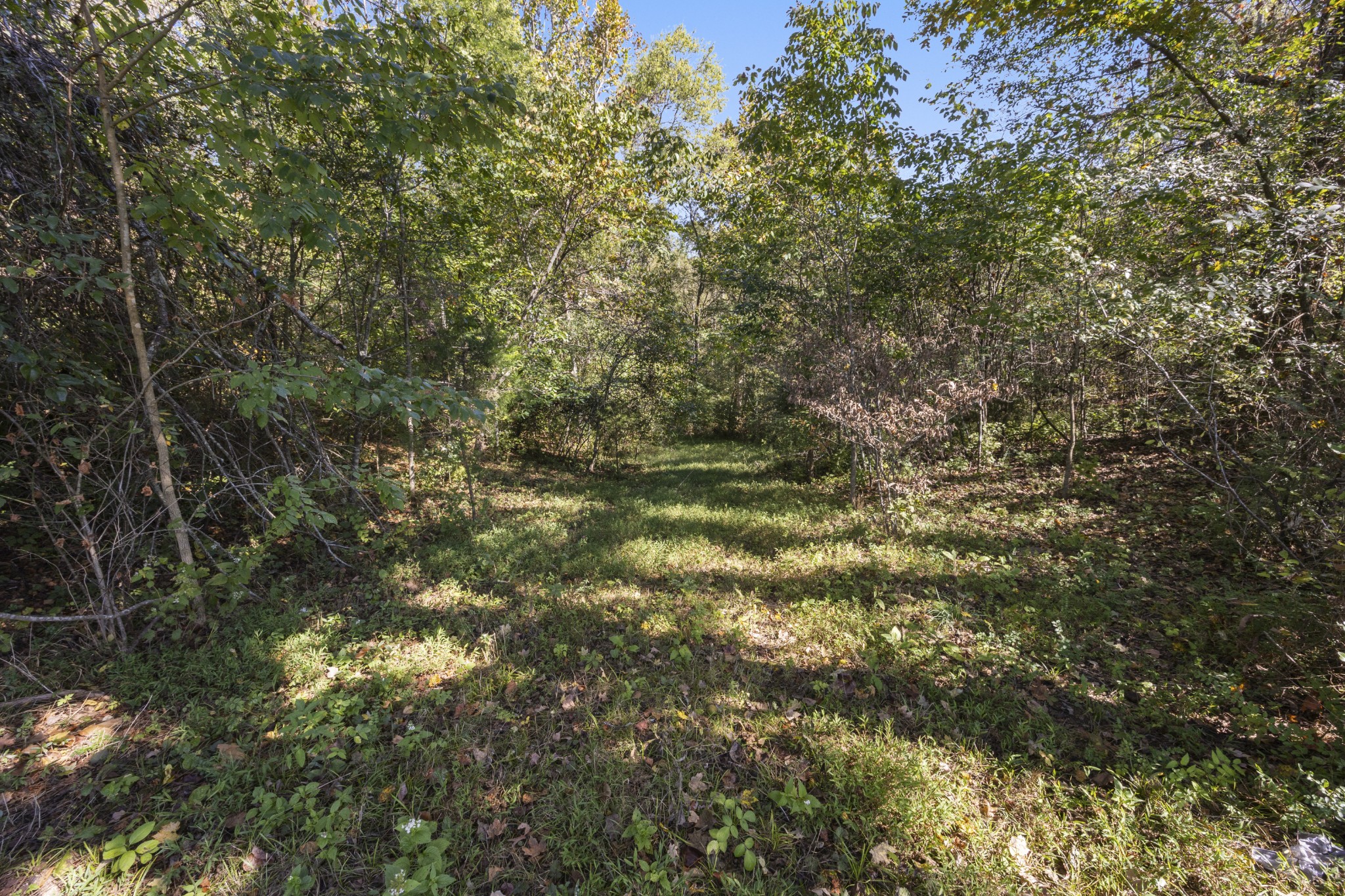 4331 Tanyard Hill Rd