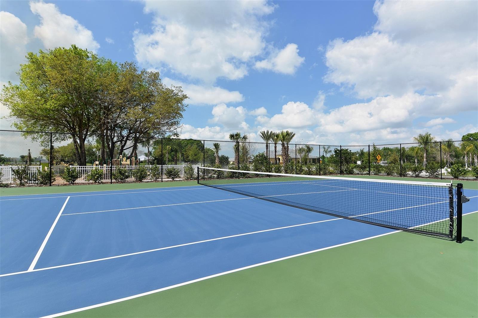 12023 SAWGRASS LAKE TER
