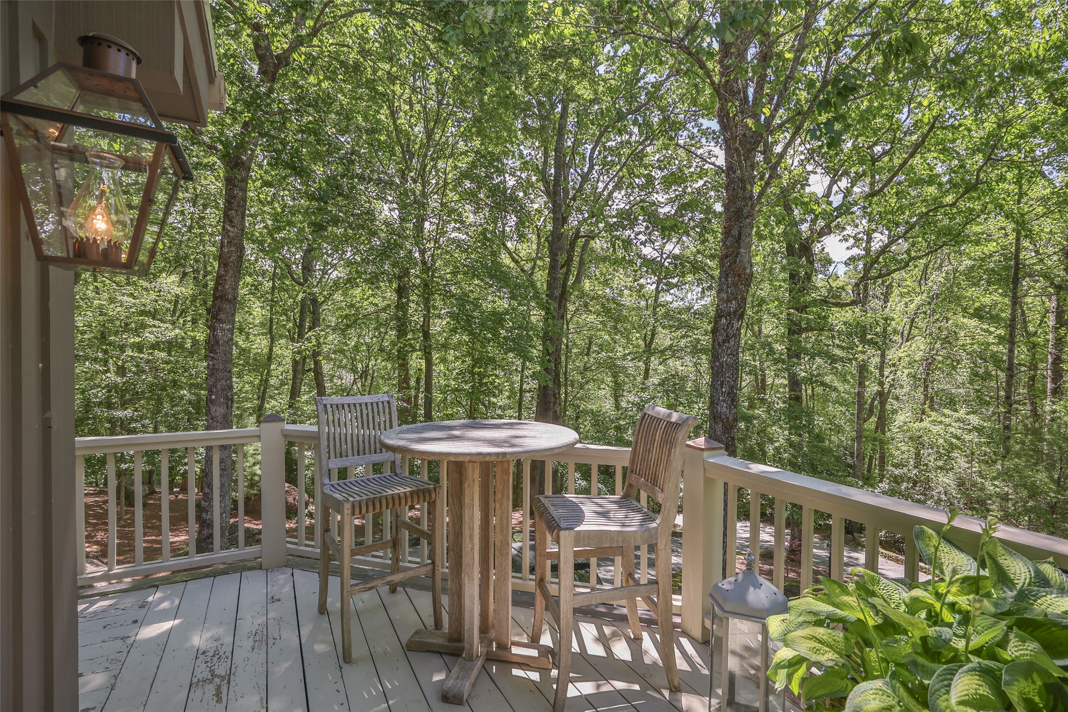 46 White Dogwood Court