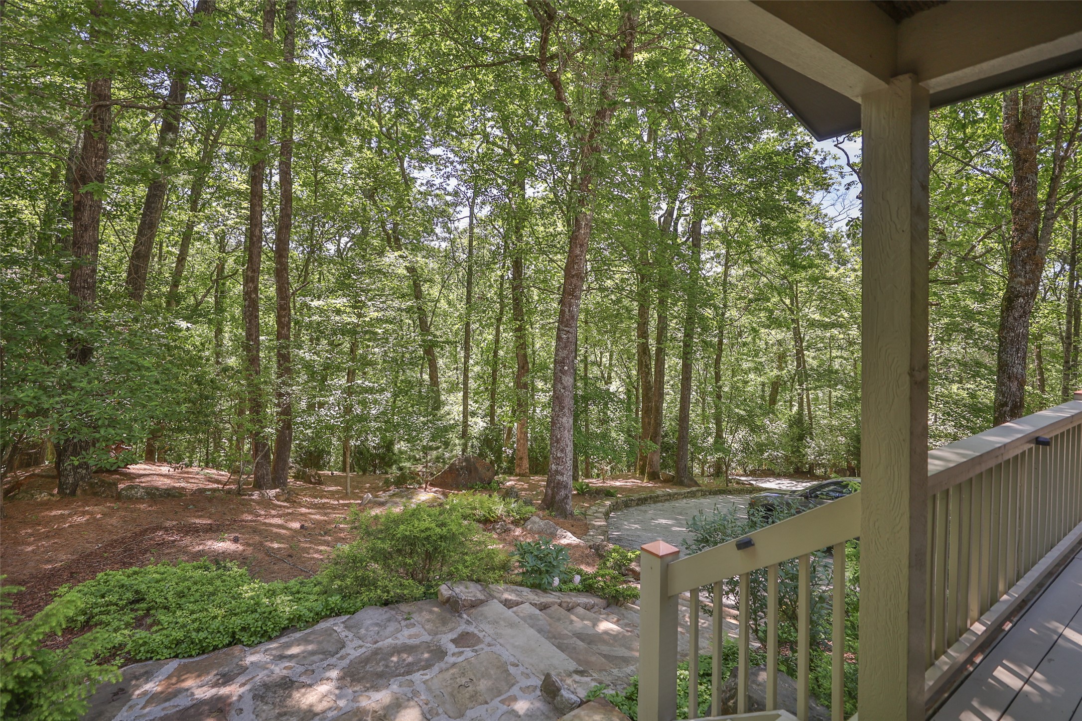 46 White Dogwood Court