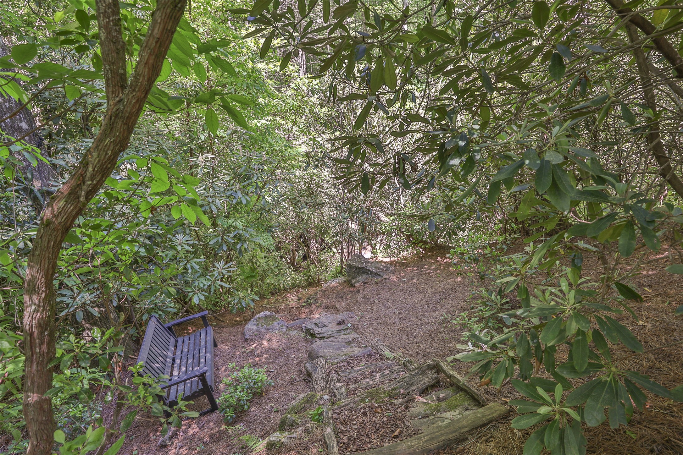 46 White Dogwood Court