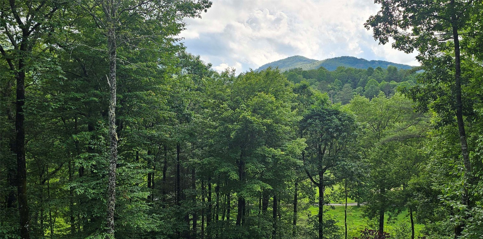 40 Piney Ridge Court