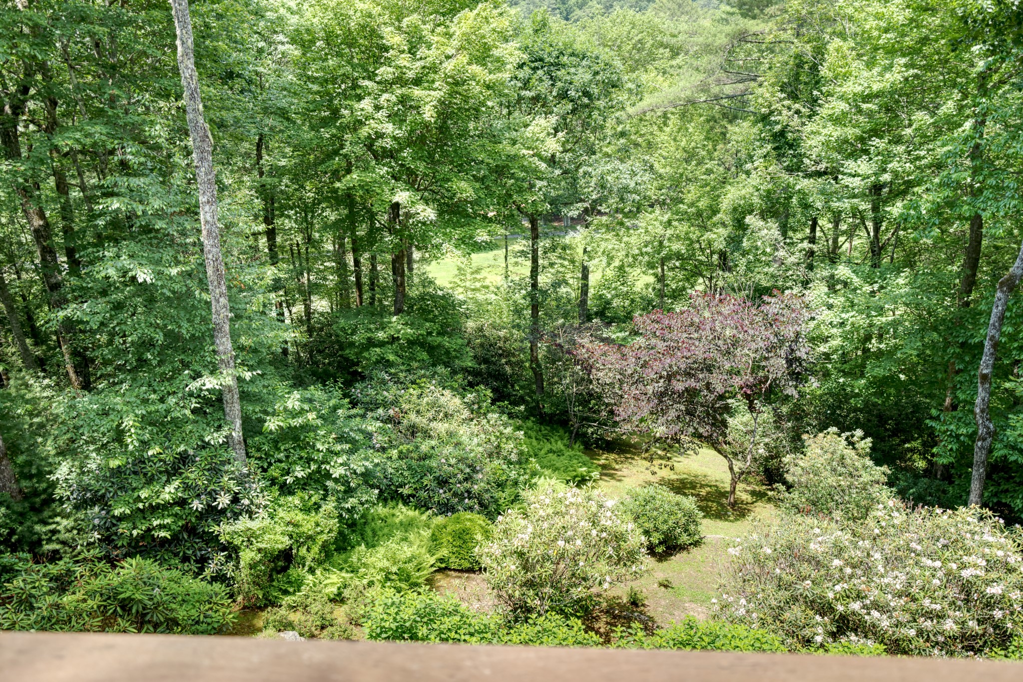 40 Piney Ridge Court
