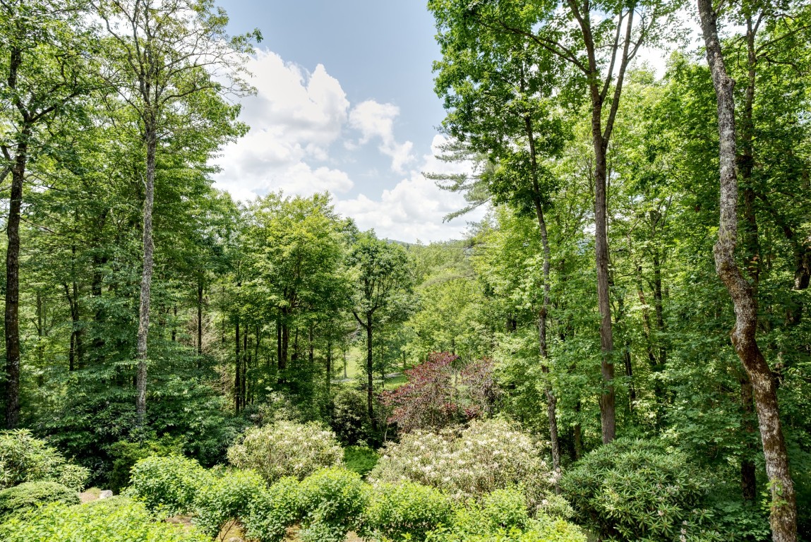40 Piney Ridge Court