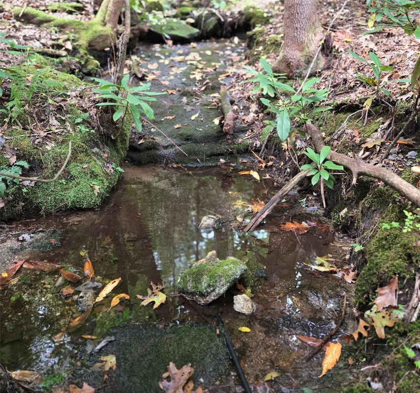 557 Country Club Estate