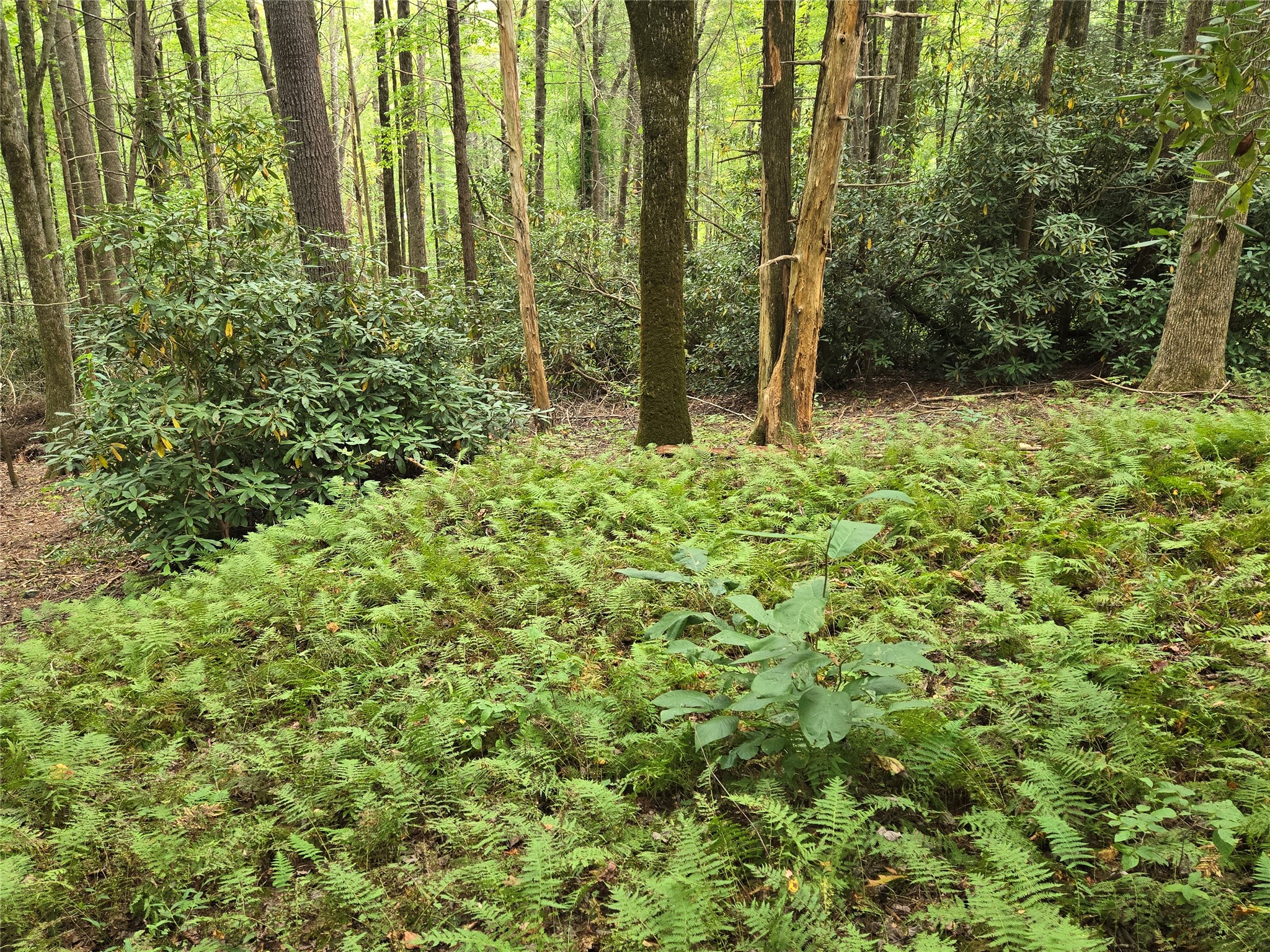 557 Country Club Estate