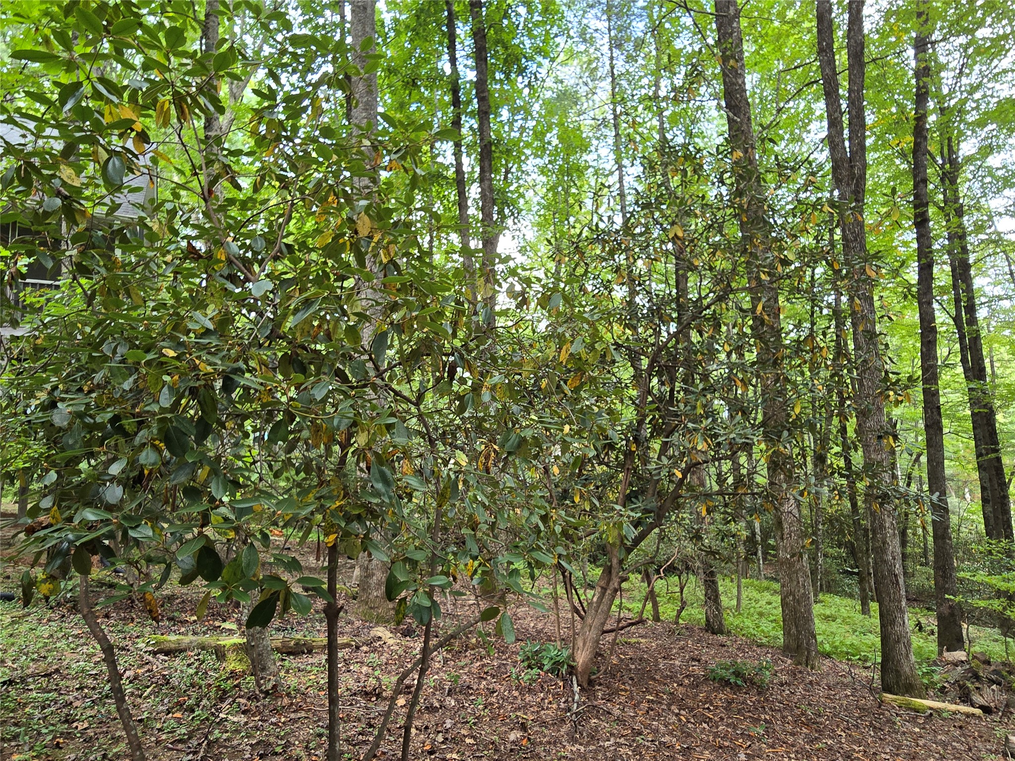 557 Country Club Estate