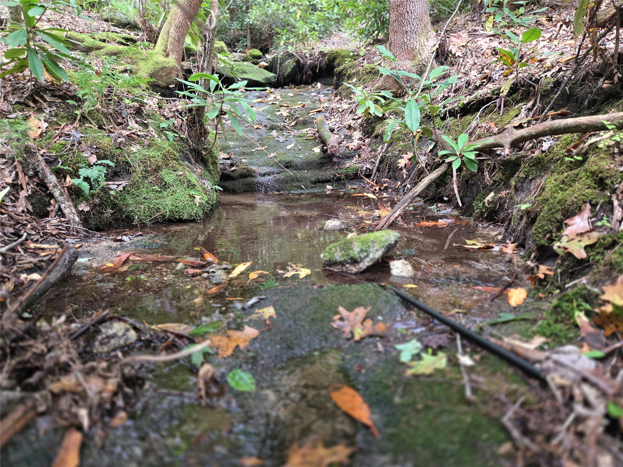 557 Country Club Estate