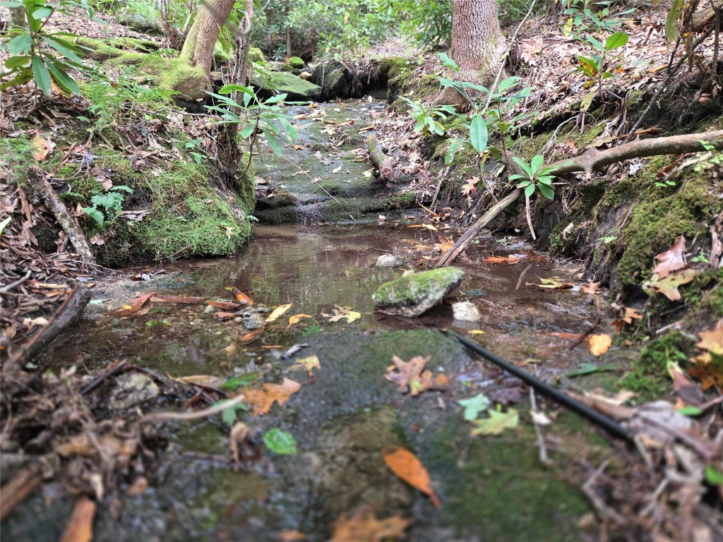 557 Country Club Estate