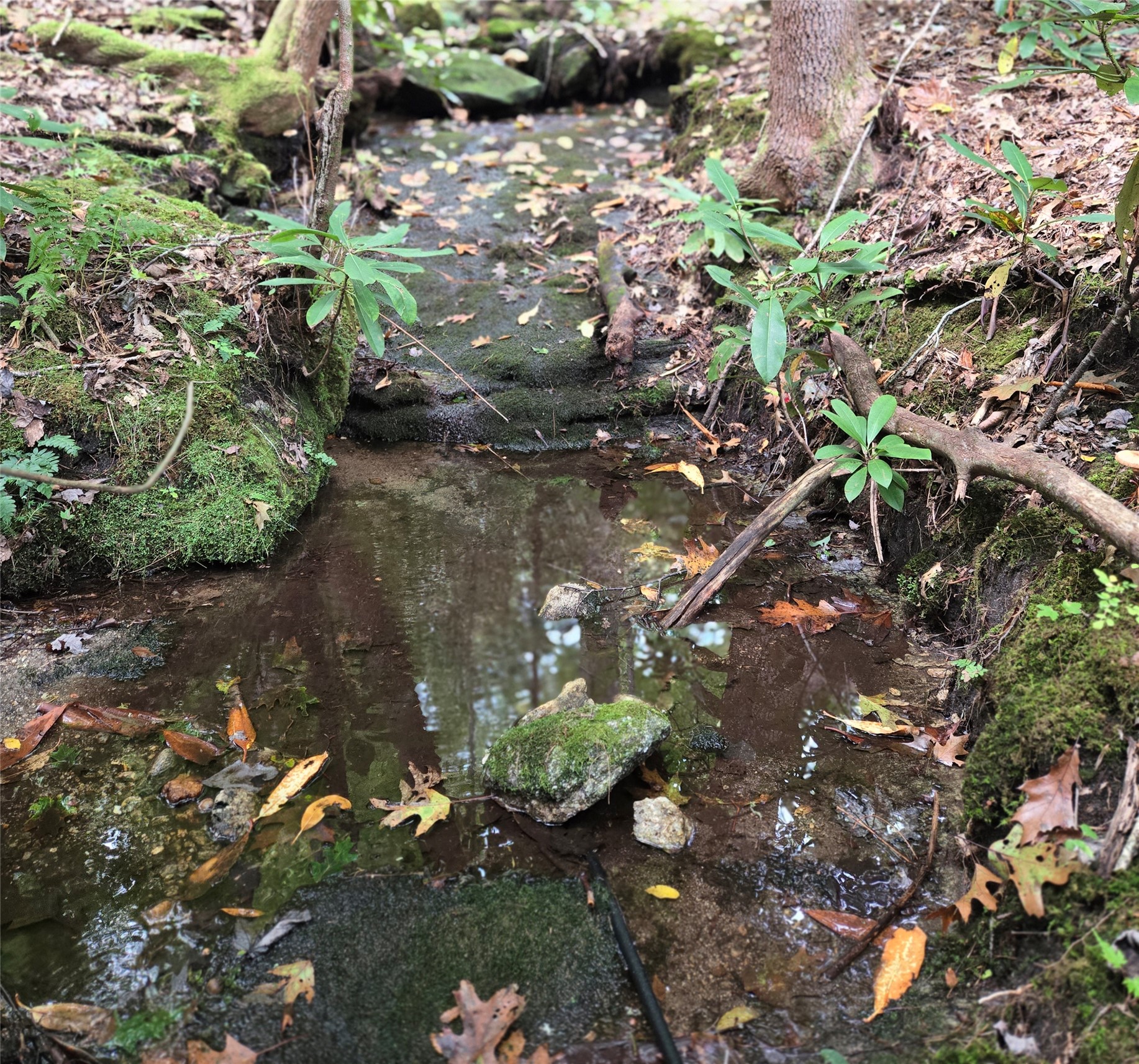 557 Country Club Estate