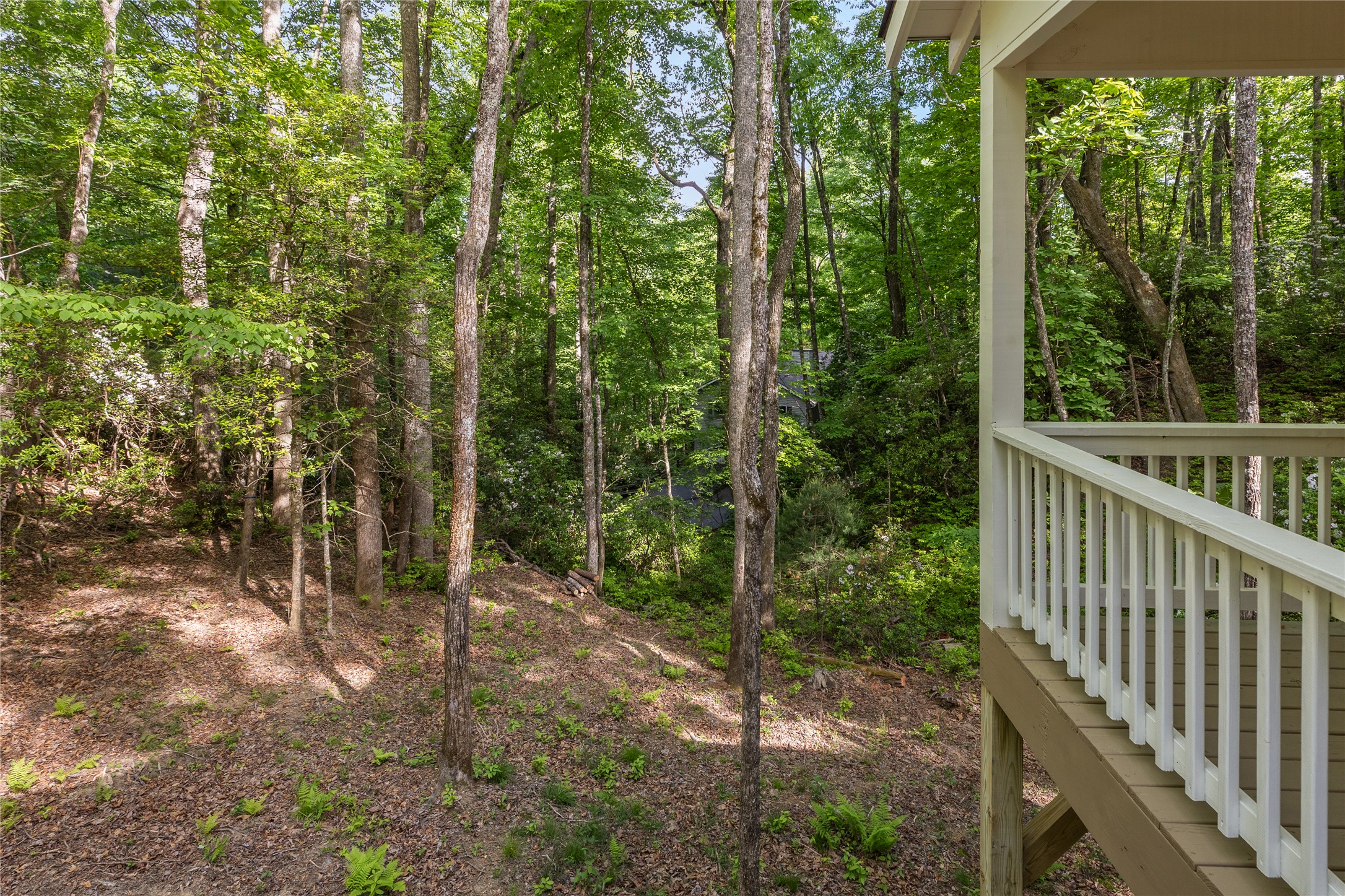 223 Sourwood Court