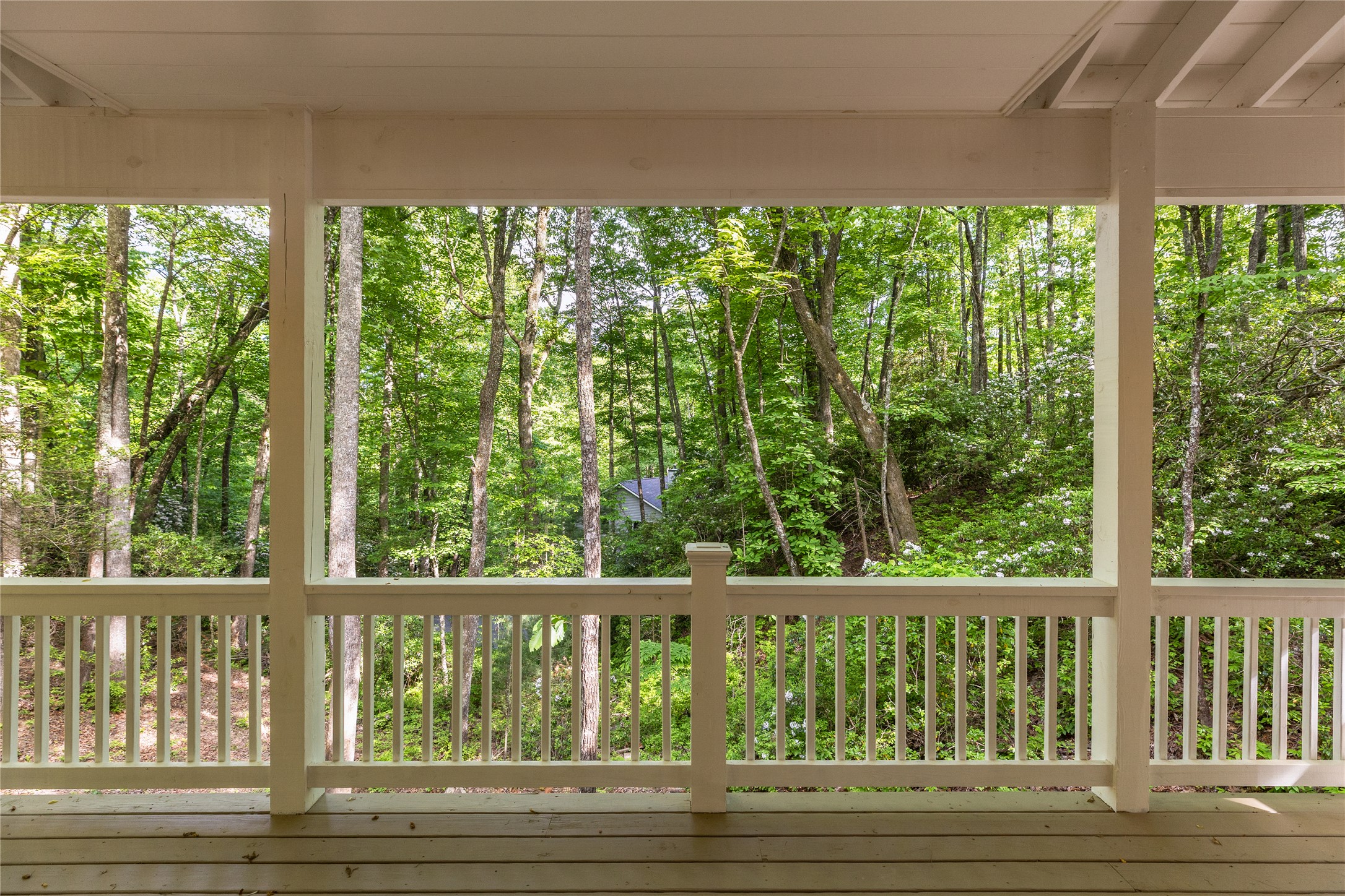 223 Sourwood Court