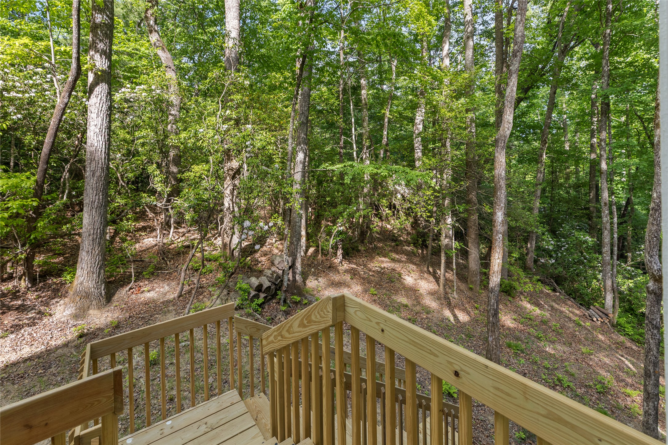 223 Sourwood Court