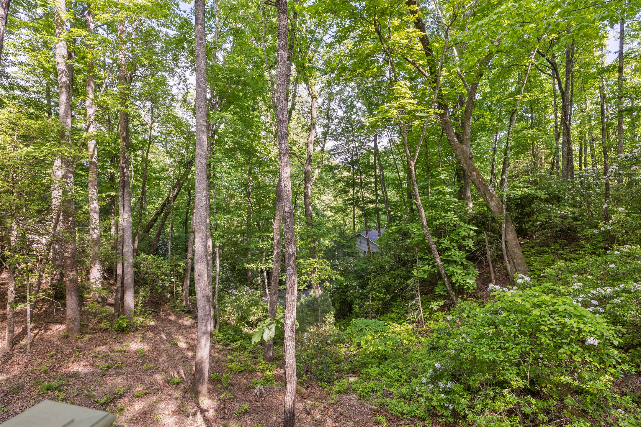 223 Sourwood Court