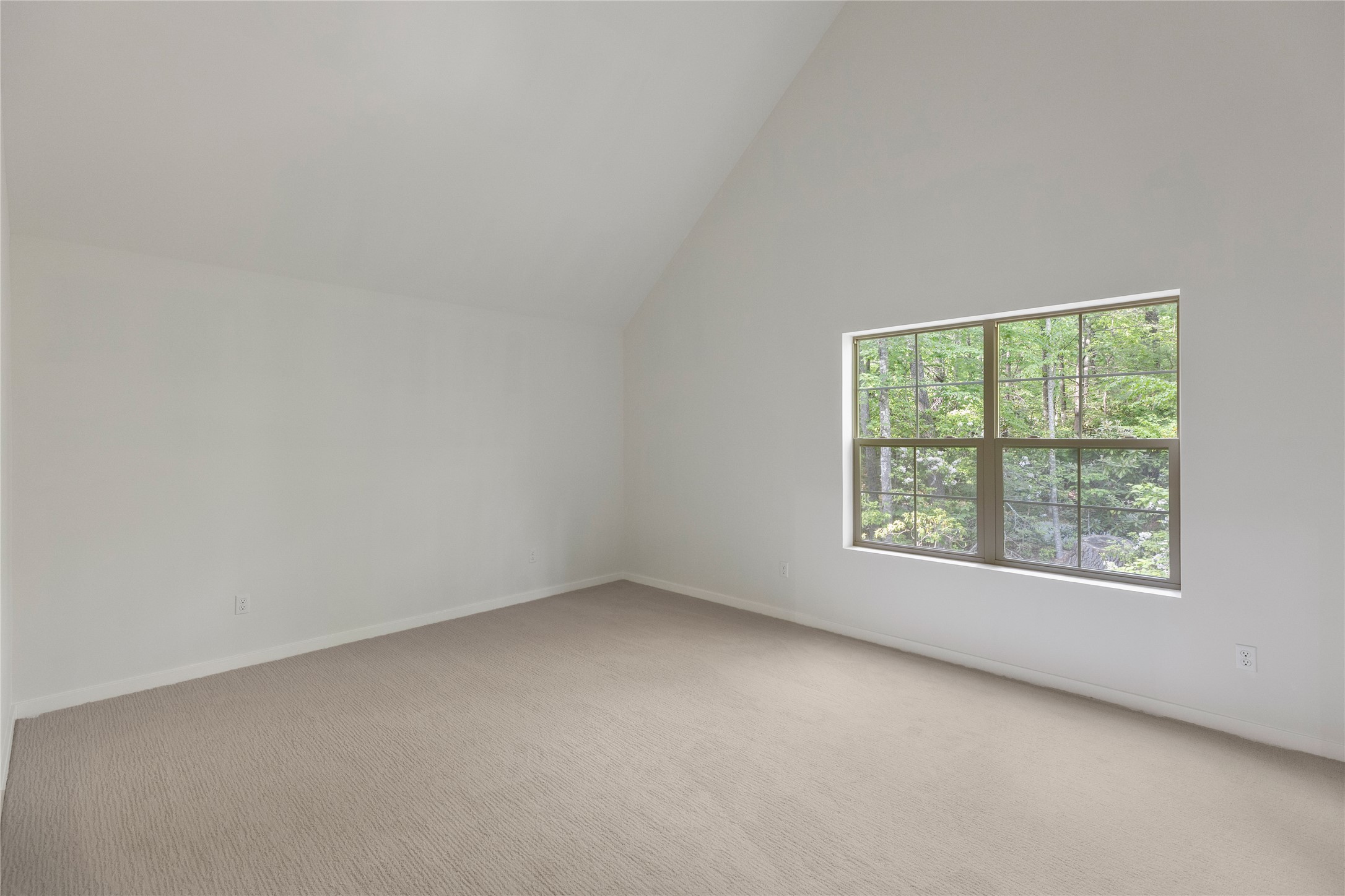 223 Sourwood Court