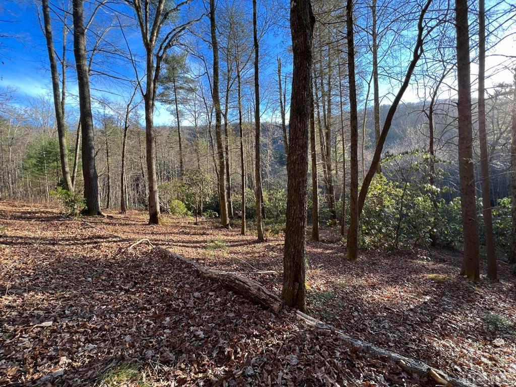 Lot 59 East Rochester Drive