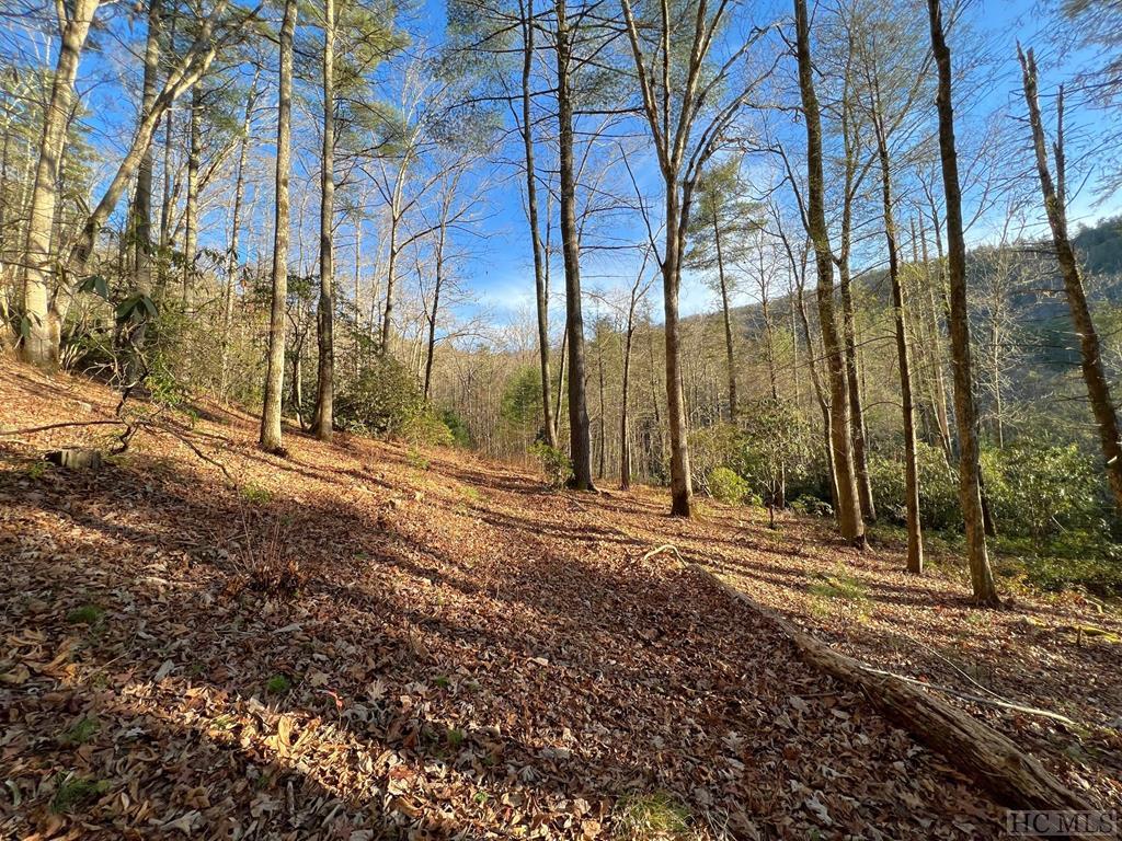 Lot 59 East Rochester Drive