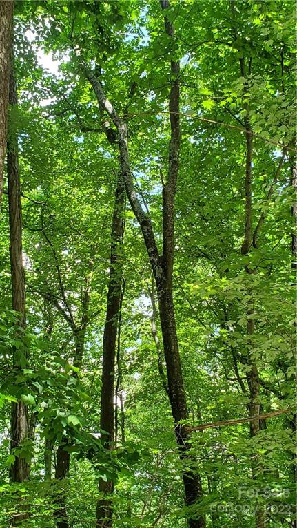 2100 Hogback Mountain Road