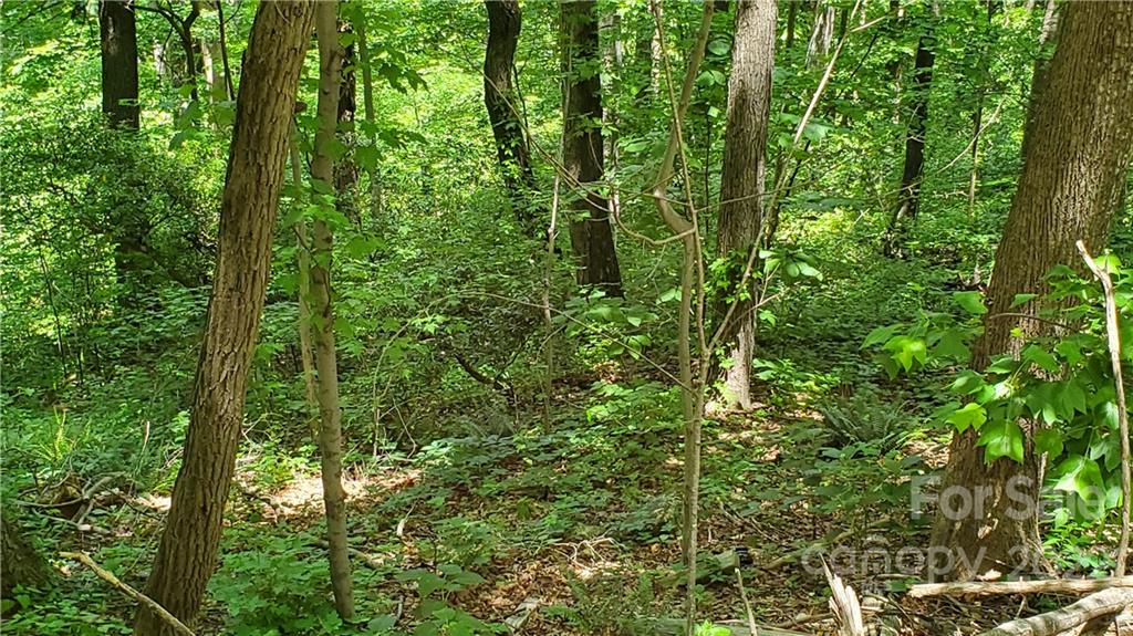 2100 Hogback Mountain Road