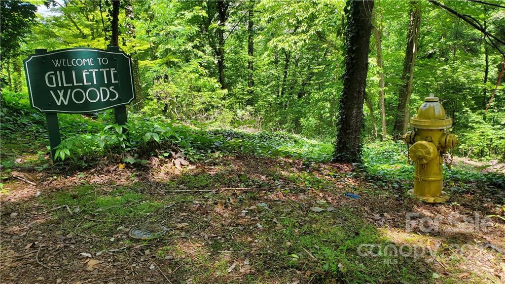 2100 Hogback Mountain Road
