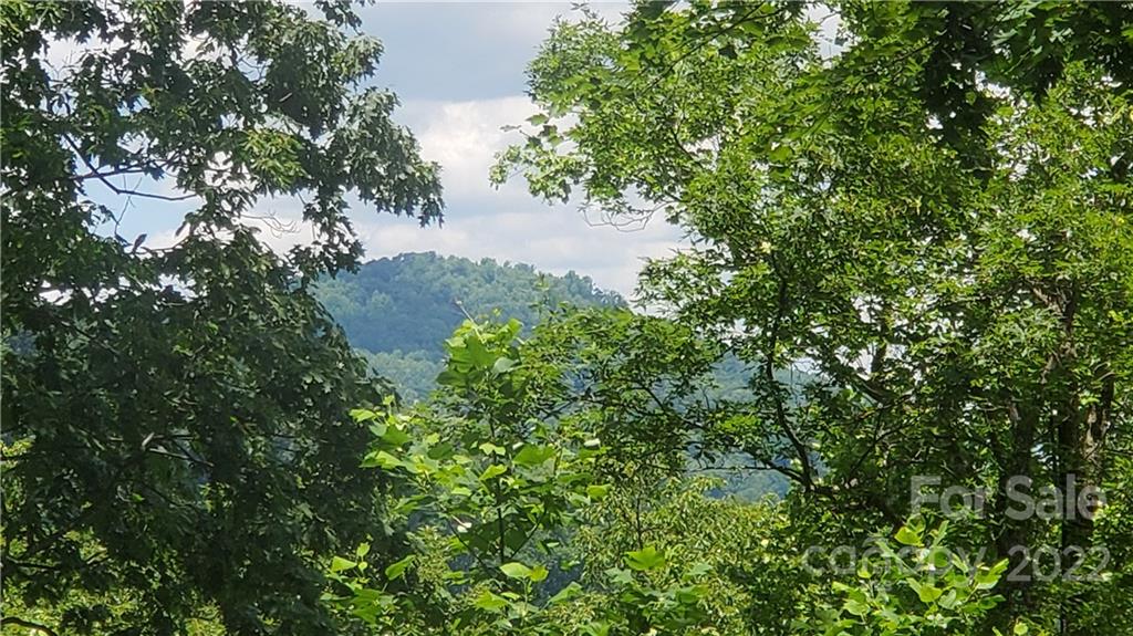 2100 Hogback Mountain Road