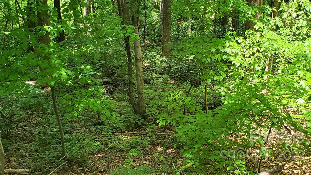 2100 Hogback Mountain Road