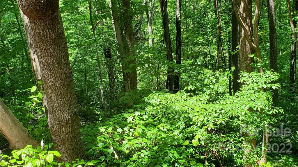 2100 Hogback Mountain Road