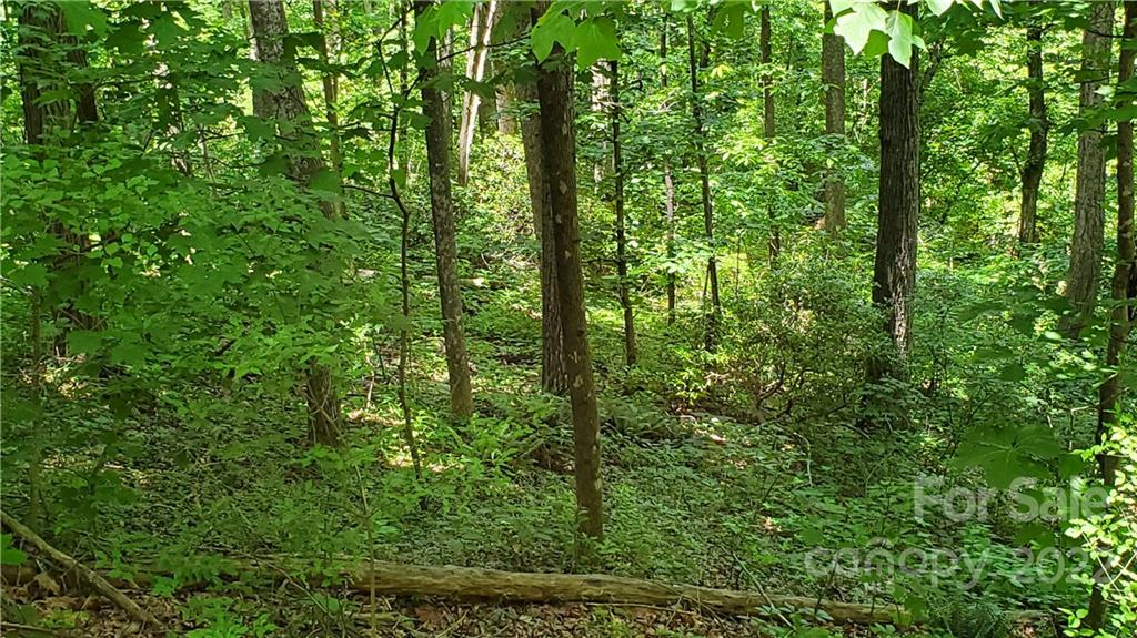 2100 Hogback Mountain Road