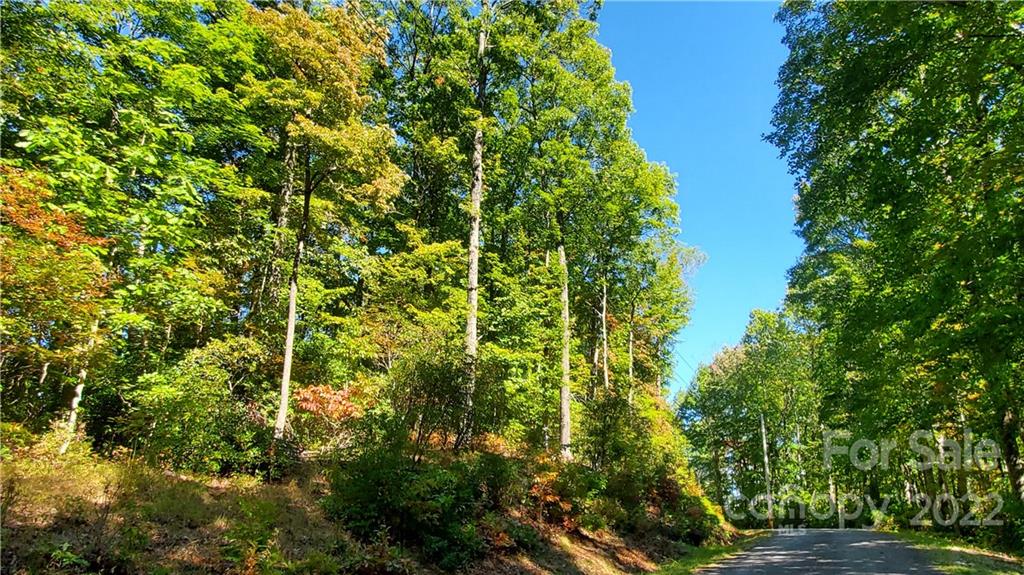 333 Ladd Ridge