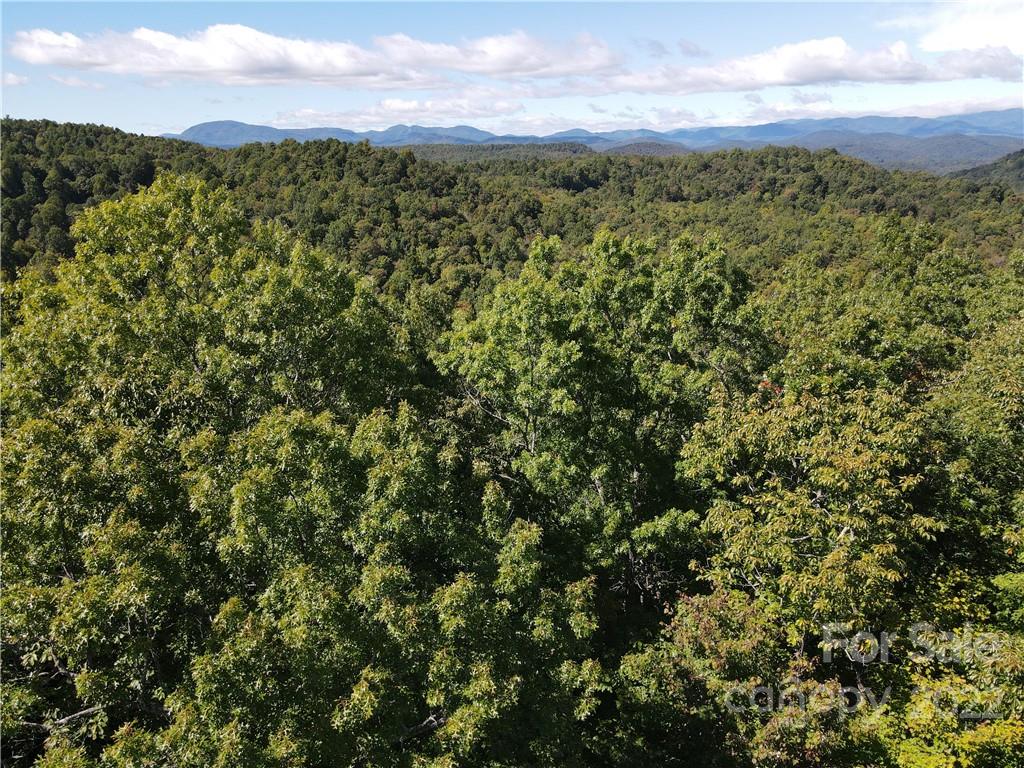 333 Ladd Ridge
