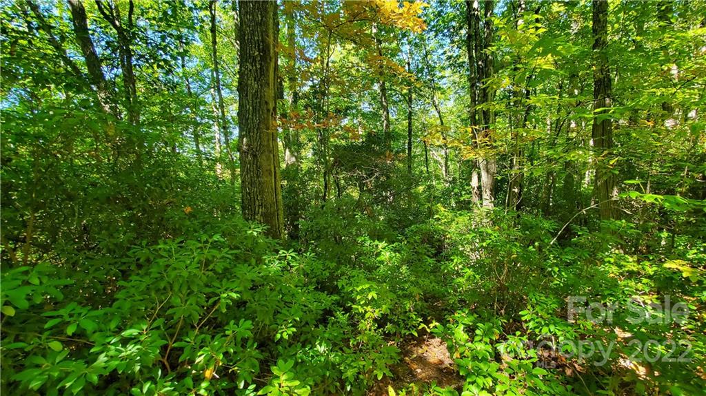333 Ladd Ridge