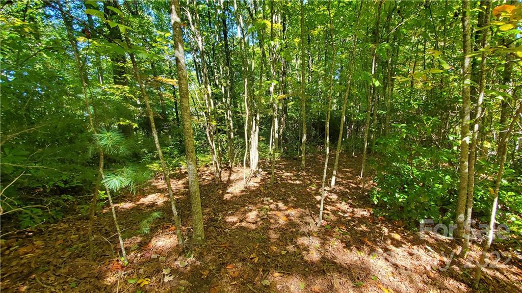 333 Ladd Ridge