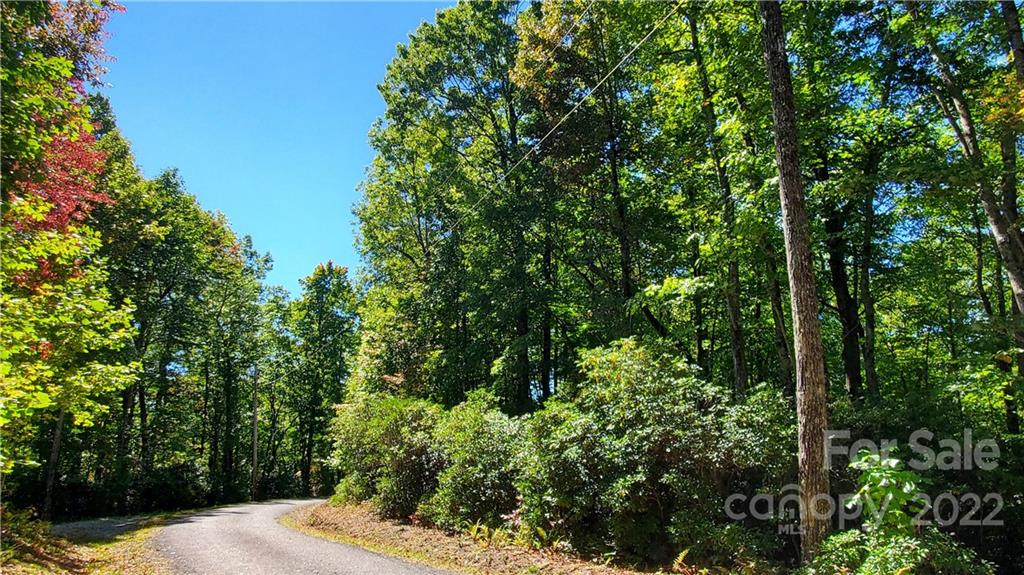 333 Ladd Ridge