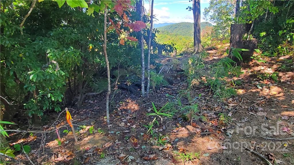 333 Ladd Ridge