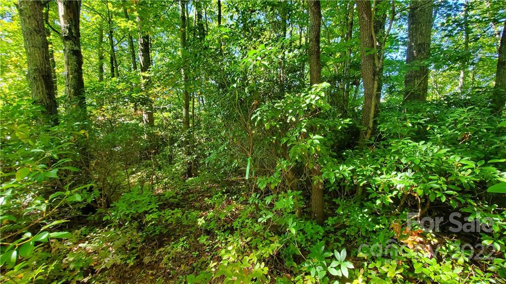 333 Ladd Ridge