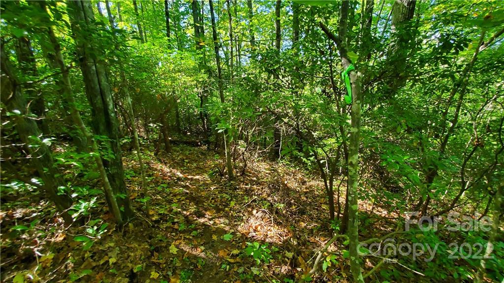 333 Ladd Ridge