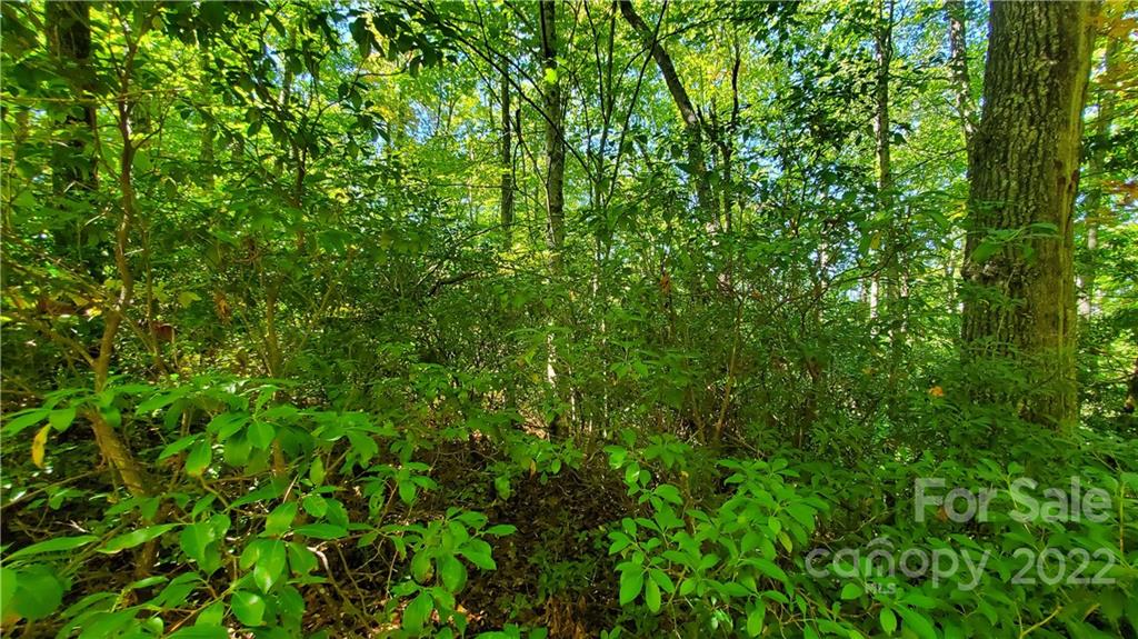 333 Ladd Ridge