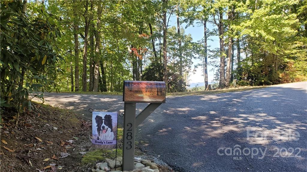333 Ladd Ridge