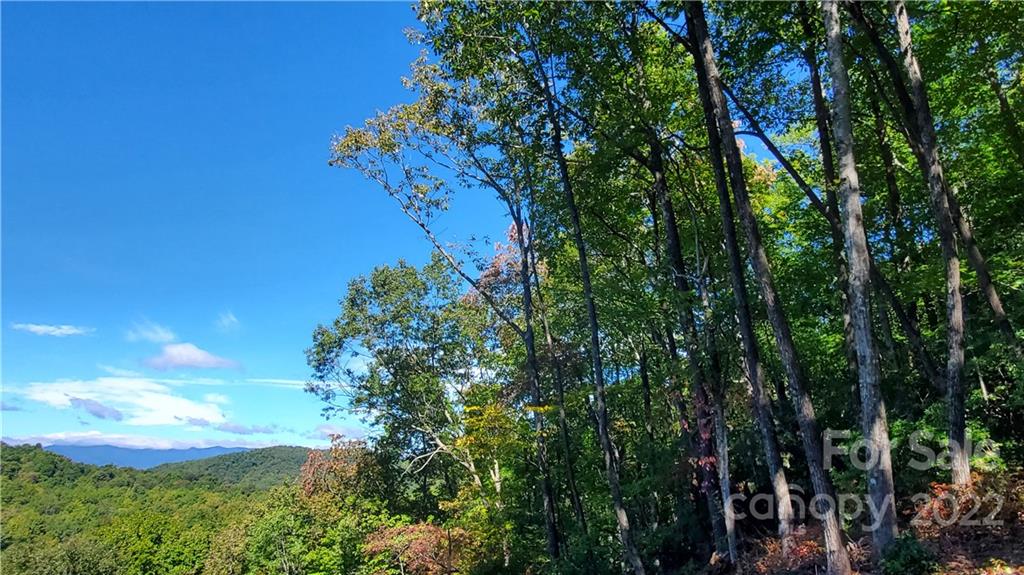 333 Ladd Ridge