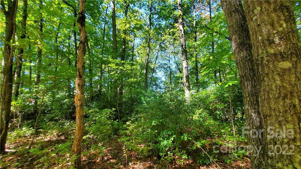 333 Ladd Ridge