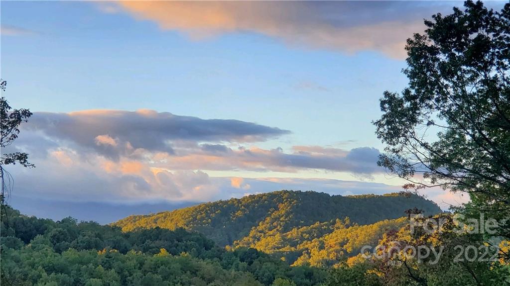 333 Ladd Ridge