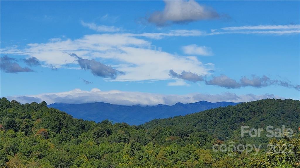 333 Ladd Ridge